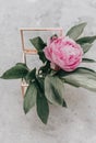 Pink peony minimal lifestyle concept