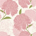 Pink peony rose flowers elegant beautiful vector floral spring summer seamless pattern texture background. Royalty Free Stock Photo