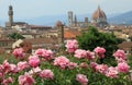 Pink peony and view of renaissance town of Florenc