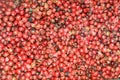 Pink pepper grains Royalty Free Stock Photo