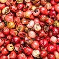 Pink peppercorns Baie rose close up Royalty Free Stock Photo