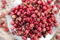 Pink Peppercorns (close-up shot) Royalty Free Stock Photo