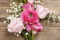 Pink persian buttercup flower, freesia flower