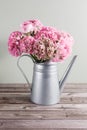 Pink persian buttercup flowers. Curly peony ranunculus in Metallic gray vintage watering can, copy space. Royalty Free Stock Photo