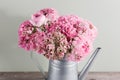 Pink persian buttercup flowers. Curly peony ranunculus in Metallic gray vintage watering can, copy space. Royalty Free Stock Photo