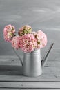 Pink persian buttercup flowers. Curly peony ranunculus in Metallic gray vintage watering can, copy space. Royalty Free Stock Photo