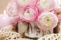 Pink persian buttercup flowers (ranunculus)