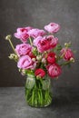 Pink persian buttercup flowers ranunculus