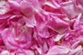 Pink petals background