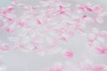 Pink petals on water Royalty Free Stock Photo