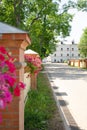 Pink petunia flowers in a flower pot hang on a fence. Vertical photo of a beautiful street interior Royalty Free Stock Photo