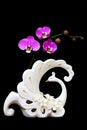 Pink Phalaenopsis Orchids And A Swan Shape Decorative Flower Vase Against Dark Background