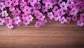 Pink phlox flowers on wooden background. Copy space for text