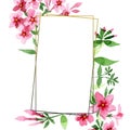 Pink phlox foral botanical flower. Watercolor background illustration set. Frame border ornament square. Royalty Free Stock Photo