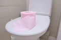 A pink piece of toilet paper standing on a cover of a toilet bowl, digestive problems and defecation disorder concept