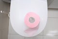 A pink piece of toilet paper standing on a cover of a toilet bowl, top view, digestive problems and defecation disorder concept
