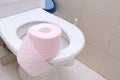 A pink piece of toilet paper standing on a seat of a toilet bowl, digestive problems and defecation disorder concept