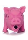 Pink Pig Dog Toy Cutout