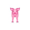 Pink pig front view, isolated on white animal vector illustration livestock, pork beef sign