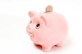 Pink pig money box isolated Royalty Free Stock Photo