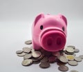 pink pig on pile of coins white background concept savings bank account finance economy retirement Royalty Free Stock Photo