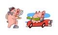 Pink Pig Playing Knight Wearing Helmet Holding Sword and Driving Car Vector Set Royalty Free Stock Photo