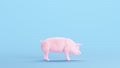 Pink Pig Pork Belly Butchers Diagram Hams Gammon Meat Kitsch Blue Background