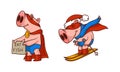 Pink Pig in Red Superhero Cloak and Mask Skiing and Holding Placard Appealing Eat Fish Vector Set