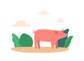 Pink Pig Runs Through Summer Field, Snorting And Enjoying Its Freedom, Surrounded By Green Plants And Cloudy Sky Royalty Free Stock Photo