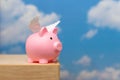 A pink pig with small white wings. Royalty Free Stock Photo