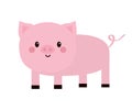 Pink pig standing icon. Smiling face. Cute cartoon kawaii funny baby character. Hog swine sow animal. Flat design. Educational Royalty Free Stock Photo