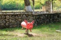 A pink pig statue in the playground, face pig Royalty Free Stock Photo