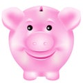 Pink piggy