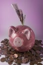 Pink piggy bank