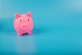 Pink piggy bank on blue background Royalty Free Stock Photo