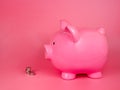 Pink piggy bank ceramic money coins toy isolated on the white background