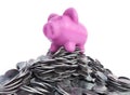 Pink piggy bank, ceramic shiny, on pile of 50 cents USA coins, isolated on white, 3d render Royalty Free Stock Photo