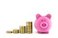 Pink piggy bank and coins Royalty Free Stock Photo