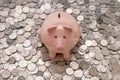 Pink Piggy Bank With Coins