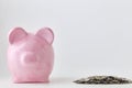 Pink piggy bank and coins On White Royalty Free Stock Photo