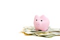 Pink piggy bank, dollars on a white background. savings concept, fundraising Royalty Free Stock Photo