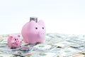 Pink piggy bank, dollars on a white background. savings concept, fundraising. coins Royalty Free Stock Photo