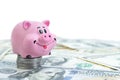 Pink piggy bank, dollars on a white background. savings concept, fundraising. coins Royalty Free Stock Photo