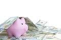 Pink piggy bank, dollars on a white background. savings concept, fundraising Royalty Free Stock Photo