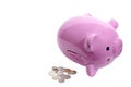 Pink Piggy Bank Emptying Coins Isolated Royalty Free Stock Photo