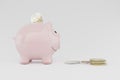 Pink piggy bank with euro coins, concept image for saving money, cgi render image Royalty Free Stock Photo