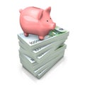 Piggy Bank Euros Royalty Free Stock Photo