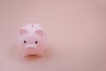 Pink piggy bank facing the camera on old rose color background