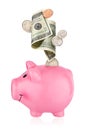 Pink piggy bank with falling money isolated on white background Royalty Free Stock Photo