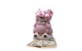 Pink piggy bank in the form of a cute pig and dollar bills. Royalty Free Stock Photo